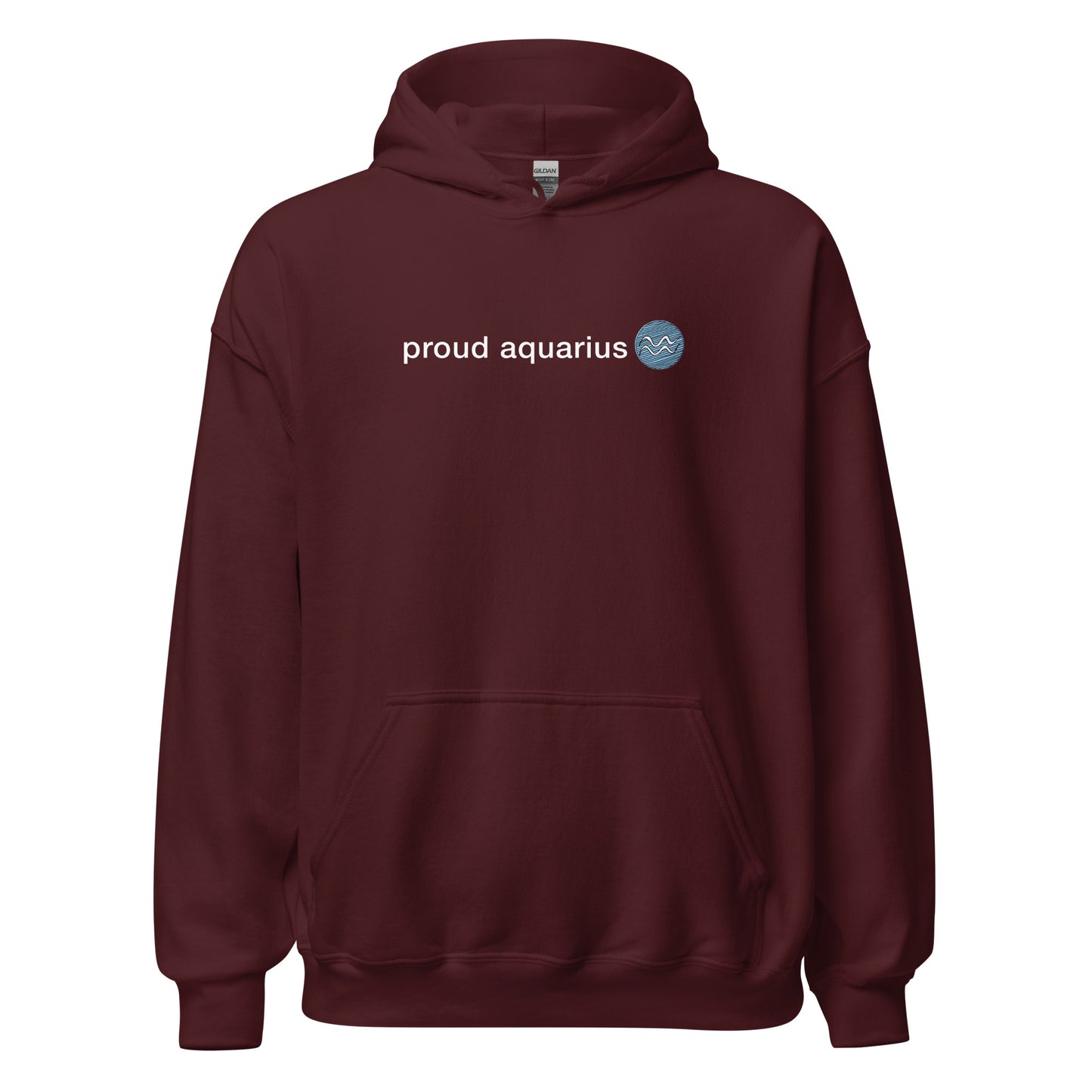 Proud Aquarius Unisex Hoodie